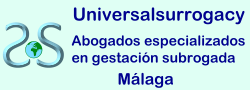 Universal Surrogacy: gestacin subrogada